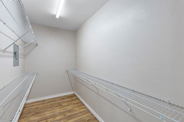 spacious closet with hardwood / wood-style flooring and electric panel