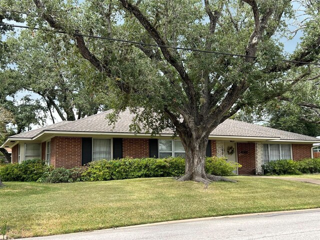 ranch-style home with a front lawn