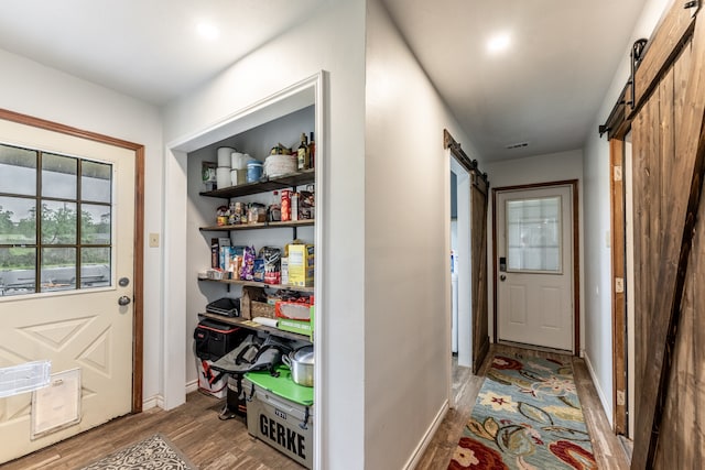 doorway featuring a barn door and hardwood / wood-style floors