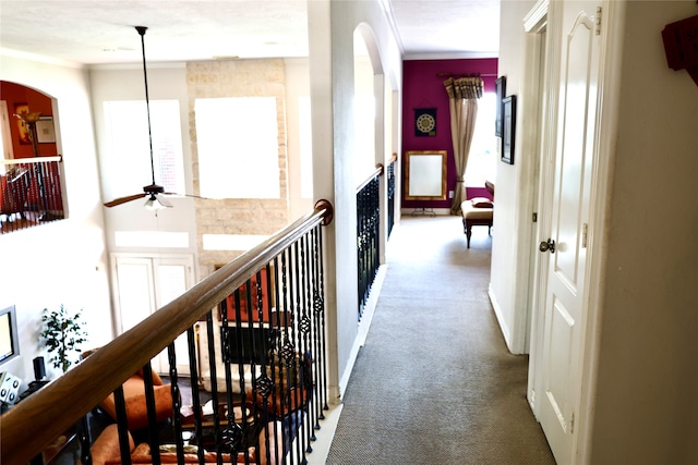 hallway with carpet floors and crown molding