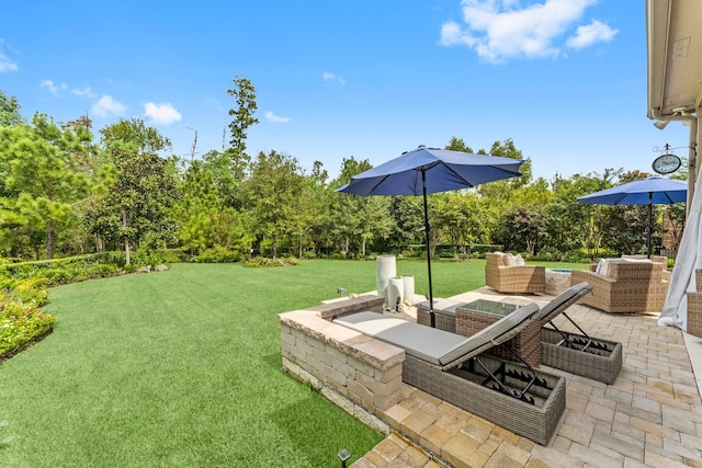 view of yard with a patio area