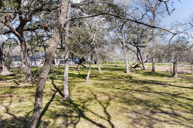 Listing photo 3 for 13528 E Brazos Bend Dr, Needville TX 77461