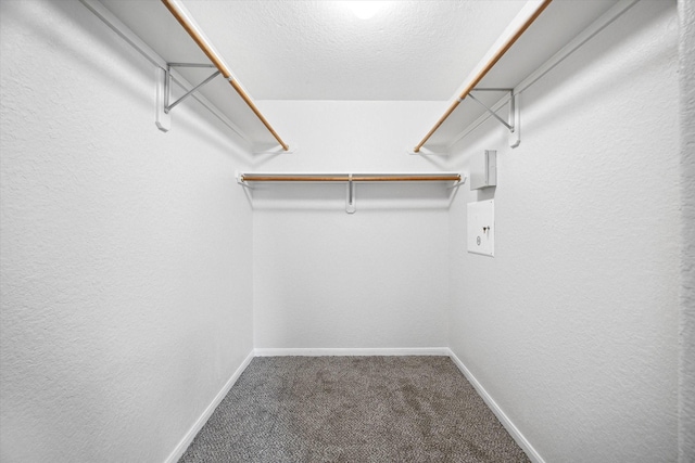 walk in closet featuring carpet