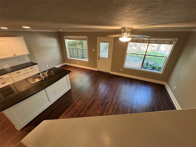 kitchen featuring decorative backsplash, white cabinetry, dark wood-type flooring, and a healthy amount of sunlight