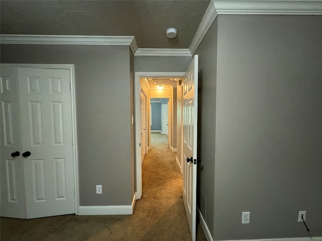 corridor with carpet flooring, crown molding, and a textured ceiling