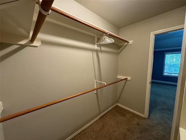 walk in closet with dark carpet