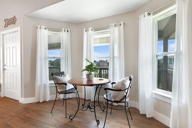 dining space featuring hardwood / wood-style floors