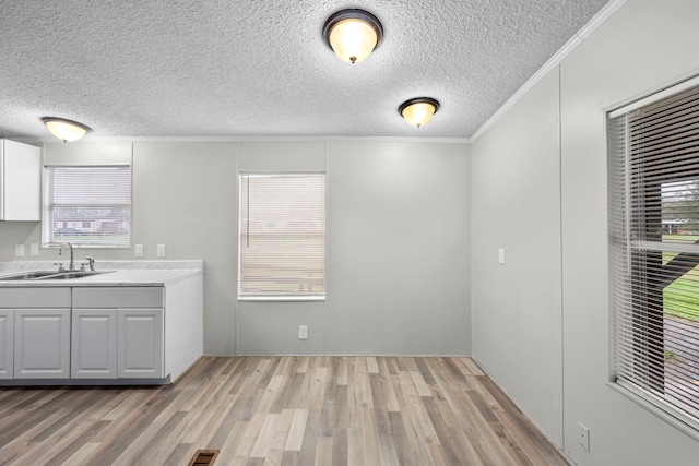 interior space with light hardwood / wood-style flooring, a textured ceiling, ornamental molding, and sink