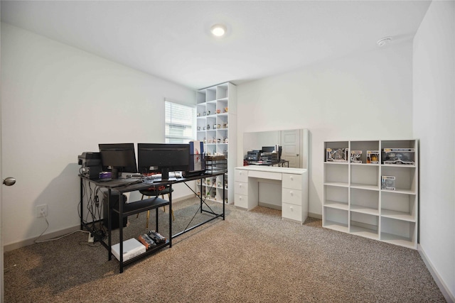 office area featuring carpet