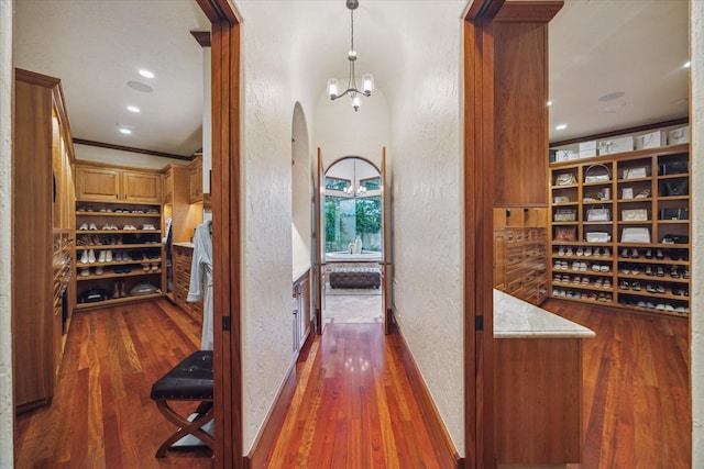 wine cellar with ornamental molding, dark wood-style flooring, and a textured wall