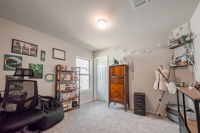 interior space with light carpet and a textured ceiling