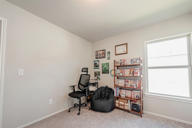 sitting room with light carpet