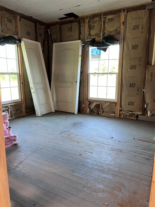 spare room featuring light wood-type flooring and a healthy amount of sunlight