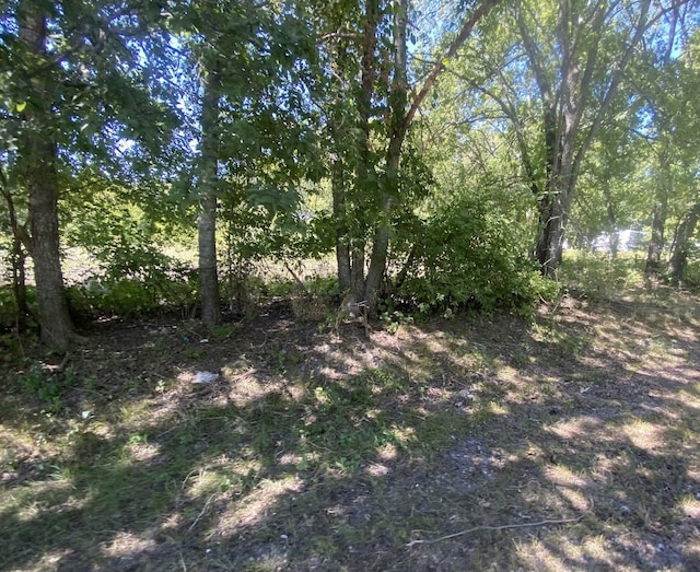 0 Pilot Grove Rd, Whitewright TX, 75491 land for sale