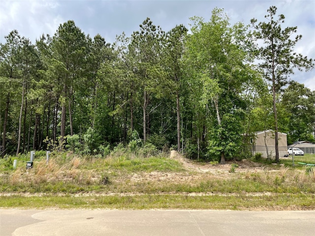 134 Rd 5268, Cleveland TX, 77327 land for sale