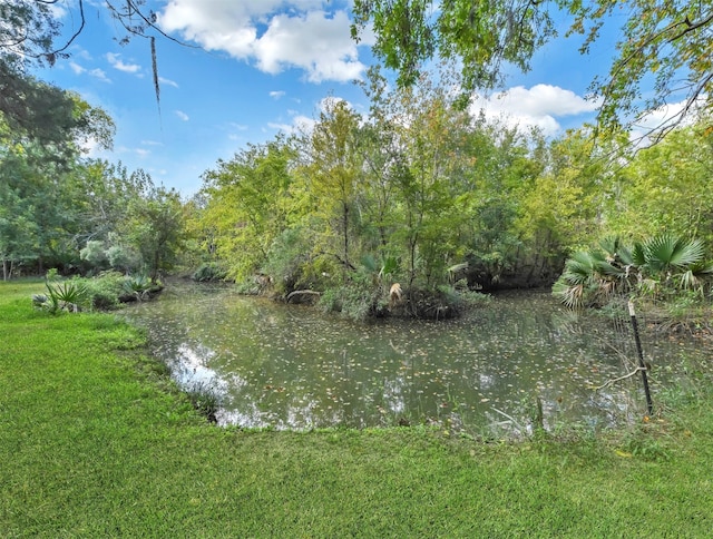 view of water feature