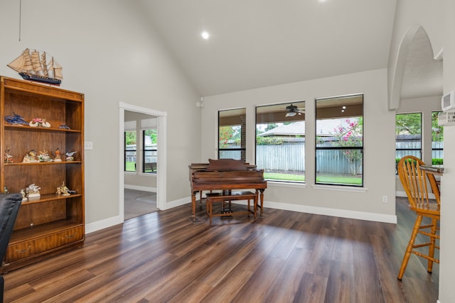 misc room featuring high vaulted ceiling, plenty of natural light, and dark hardwood / wood-style flooring