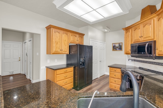 kitchen with dark stone countertops, dark hardwood / wood-style floors, sink, and stainless steel appliances