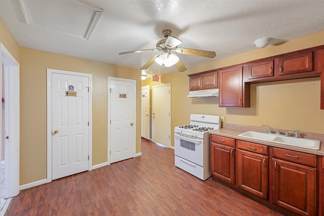 kitchen with white gas stove, sink, dark hardwood / wood-style floors, and a textured ceiling