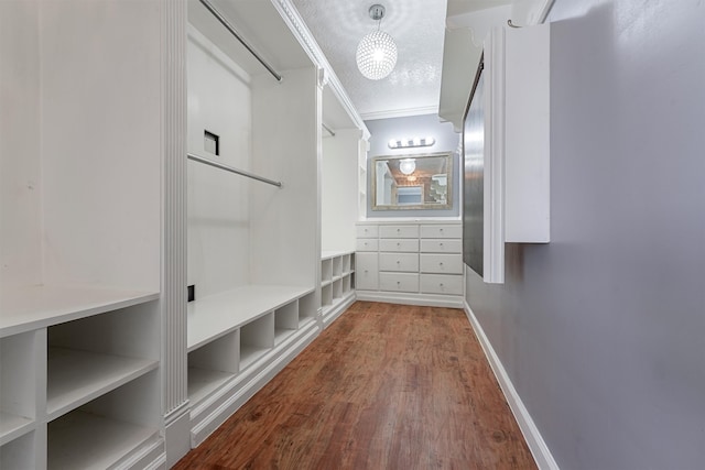 walk in closet featuring wood-type flooring