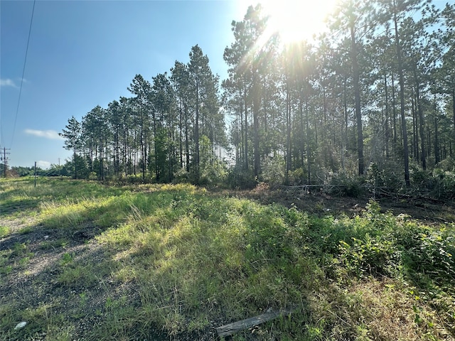 TBD Fm-1005, Jasper TX, 75951 land for sale