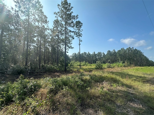 Listing photo 2 for TBD Fm-1005, Jasper TX 75951