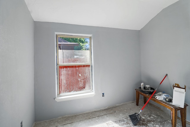 miscellaneous room with vaulted ceiling