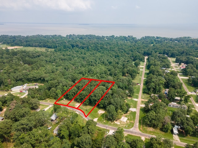 341 Hidden Oaks Dr, Point Blank TX, 77364 land for sale