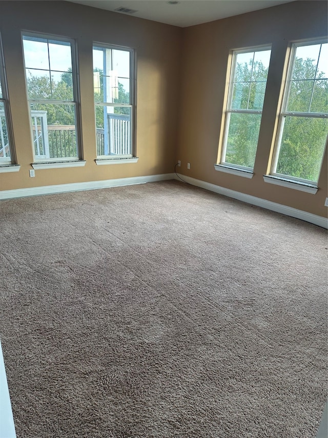 carpeted spare room with plenty of natural light