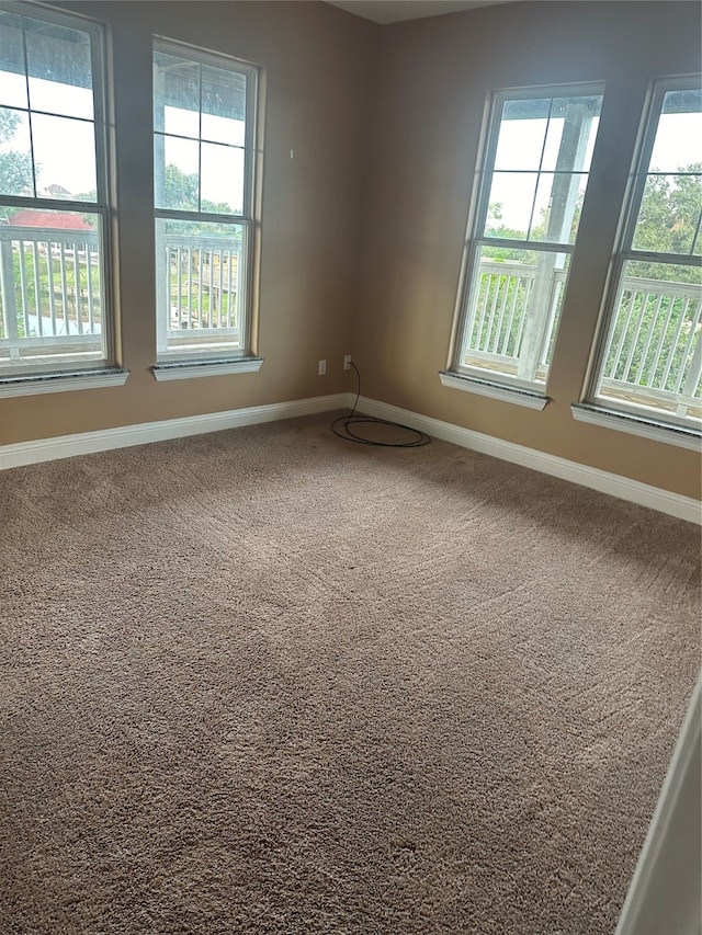 unfurnished room featuring carpet and a healthy amount of sunlight