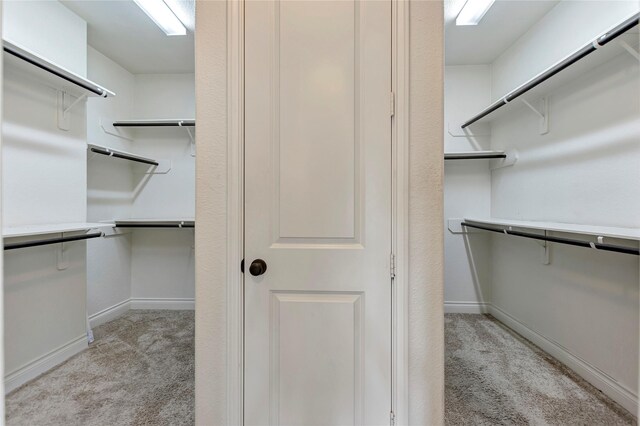 spacious closet featuring light colored carpet