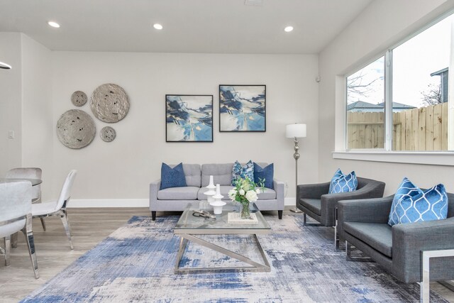 living room featuring wood-type flooring