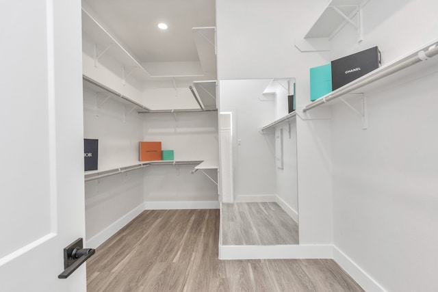 spacious closet featuring wood-type flooring