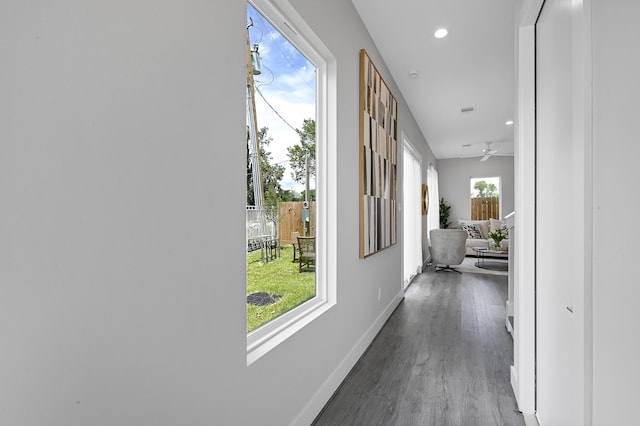 hallway with wood-type flooring