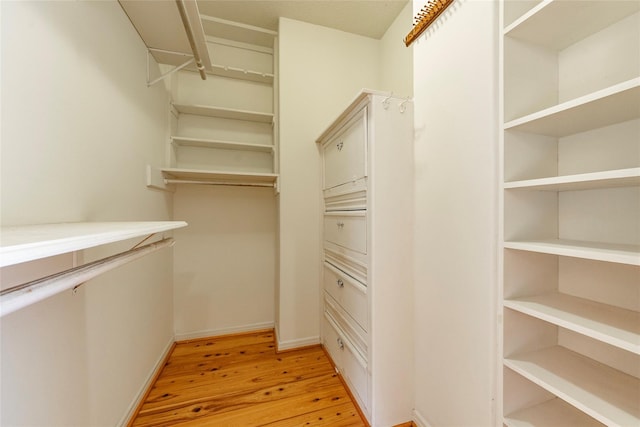 spacious closet with light wood-type flooring