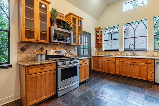 kitchen featuring backsplash, stainless steel appliances, and a wealth of natural light