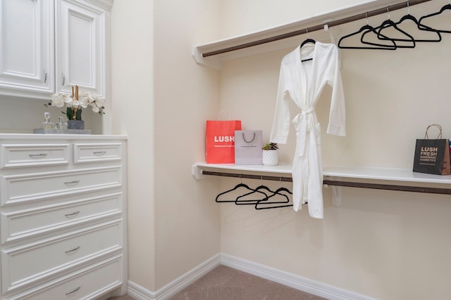 spacious closet with light colored carpet