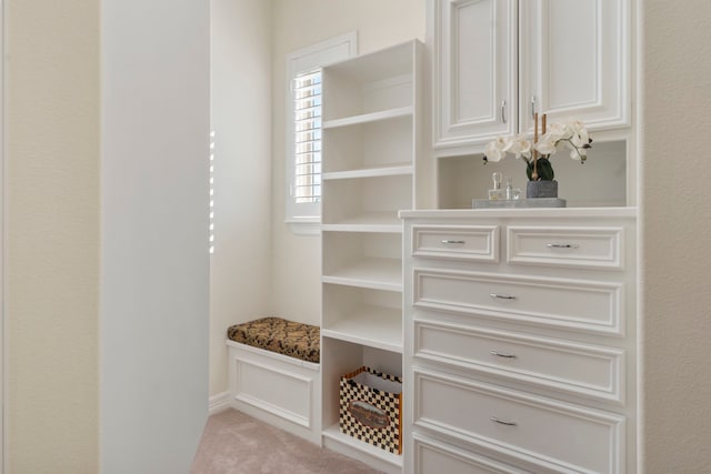 walk in closet featuring light carpet