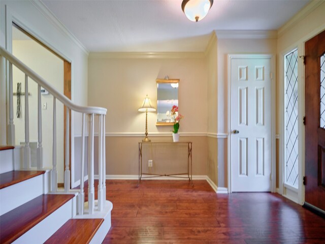 entrance foyer featuring crown molding, plenty of natural light, and dark wood-type flooring