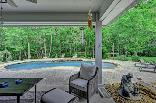 view of swimming pool with a patio