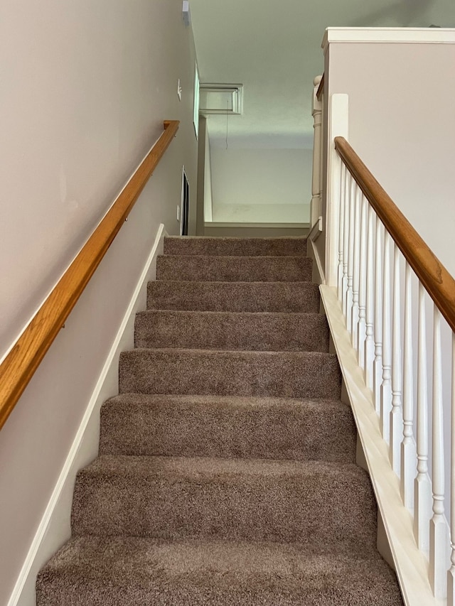 staircase featuring carpet