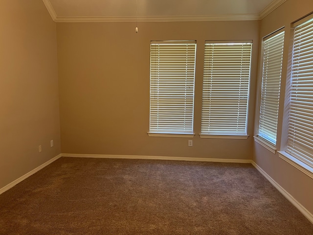 spare room featuring carpet floors, crown molding, and a wealth of natural light