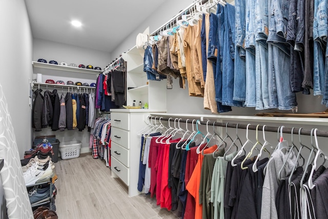 spacious closet featuring light hardwood / wood-style flooring