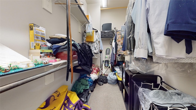 spacious closet with carpet