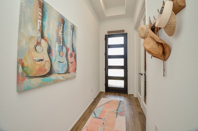 entryway featuring wood-type flooring