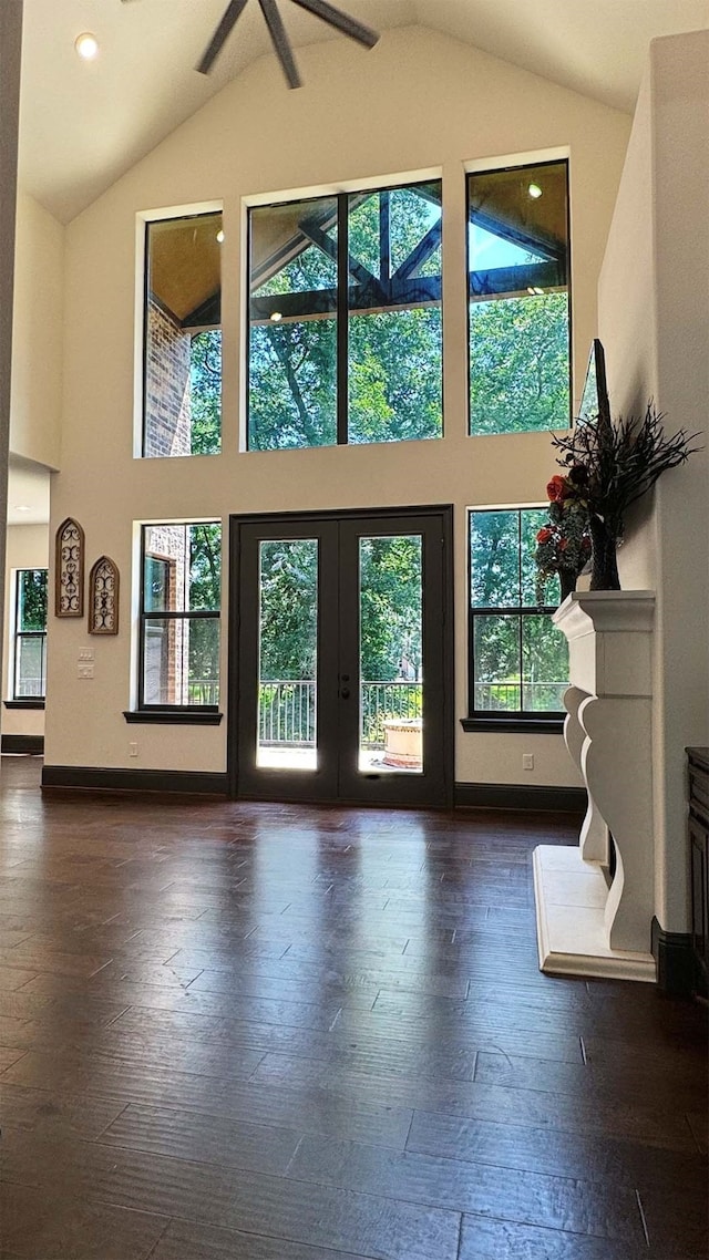 doorway to outside featuring french doors, high vaulted ceiling, plenty of natural light, and dark wood-type flooring