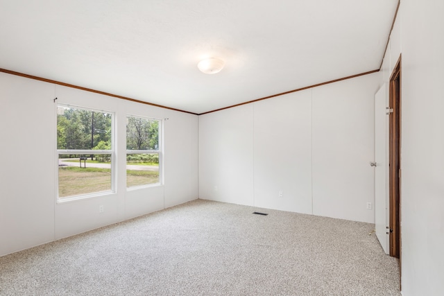 carpeted spare room with ornamental molding