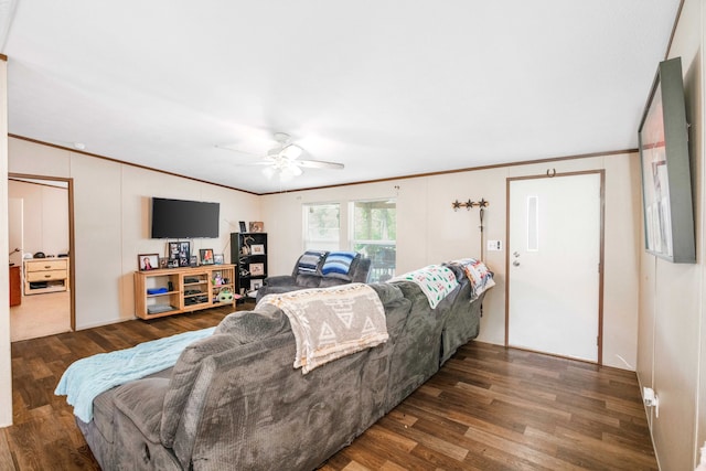 living room featuring ornamental molding, dark hardwood / wood-style floors, and ceiling fan