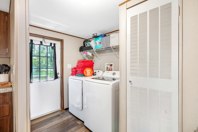 washroom featuring washer and clothes dryer and hardwood / wood-style flooring