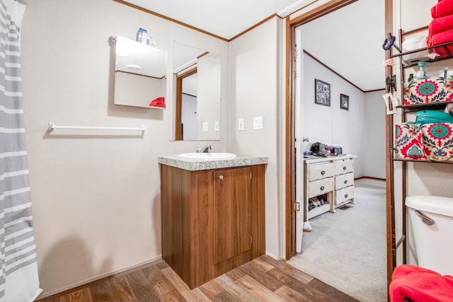 bathroom with crown molding, wood-type flooring, and vanity